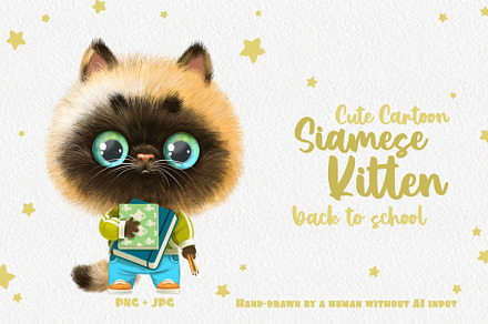 Cute Siamese kitten go to school