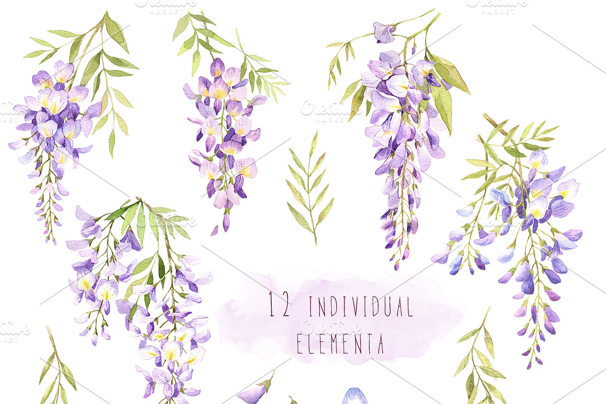 Wisteria watercolor set, an Illustration by PS_patterns (Photo 2 of 4)