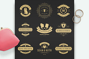 18 Wedding Logos and Badges, a Branding & Logo Template by Vasya Kobelev (Thumbnail 2 of 10)