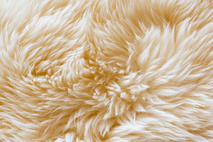 Wool Background Texture, a Background Photo by THP Creative