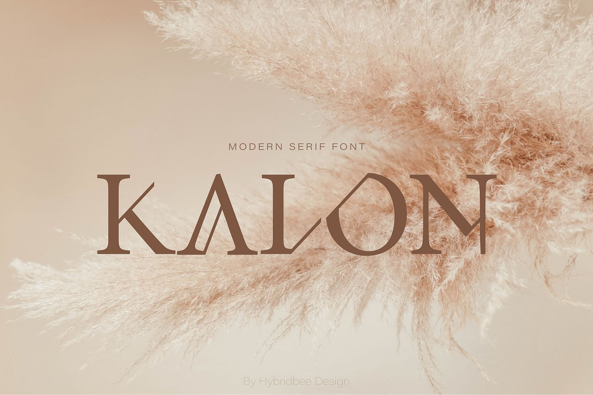 KALON – Serif Font, a Serif Font by Hybridbee Design (Photo 1 of 10)