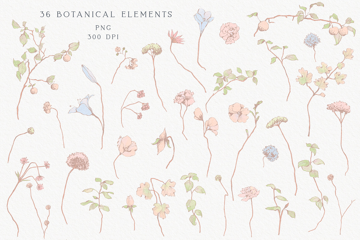 Pastel Floral collection, an Illustration by Sensual Art (Photo 2 of 10)