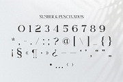 Agnista All Caps Serif Font, a Serif Font by Idea Studio (Thumbnail 12 of 12)