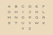 Prospect, Display font, a Font by Pilgrim Fonts (Thumbnail 3 of 4)