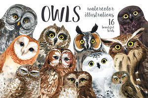 OWLS-watercolor illustrations, an Animal Illustration by KatBranchArt