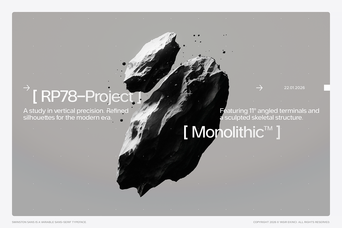 Swinston Sans Variable Typeface, a Sans Serif Font by Yasir Ekinci (Photo 12 of 17)