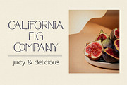 Moonbeams Sans Serif, a Sans Serif Font by Kellie Jayne Studio (Thumbnail 14 of 14)