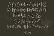 Hawkins park, a Script Font by LetterStock (Thumbnail 6 of 6)