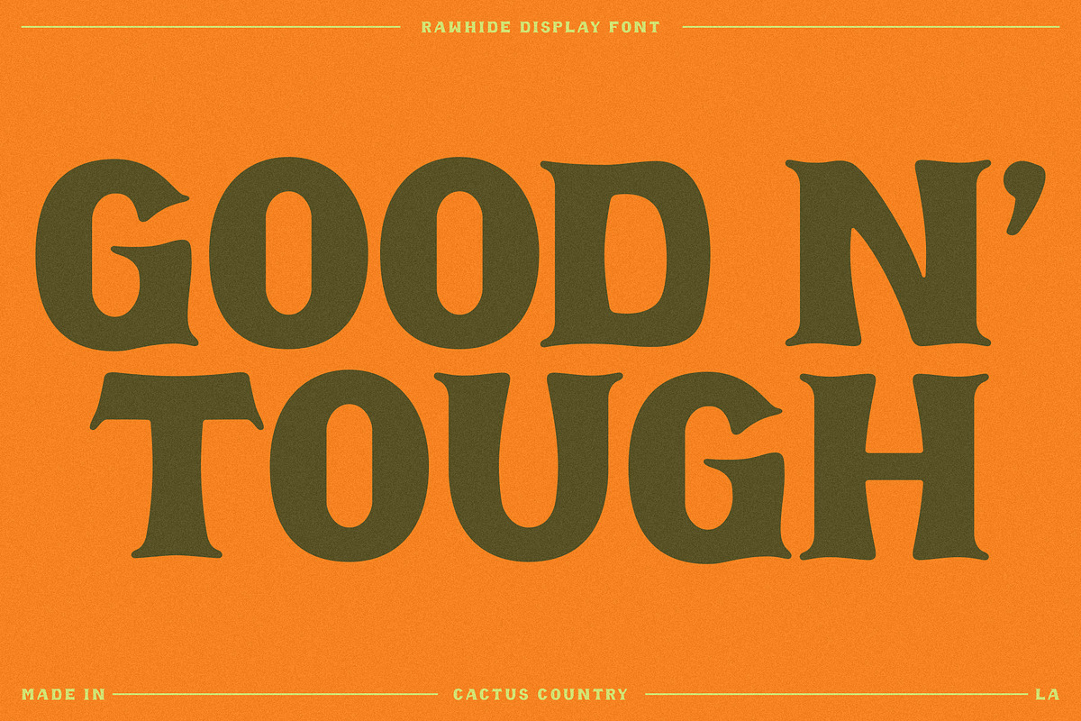 Rawhide Display Font, a Serif Font by Cactus Country (Photo 5 of 5)