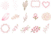 Watercolor Sakura Blossoms Clipart, an Illustration by Designking (Thumbnail 3 of 5)