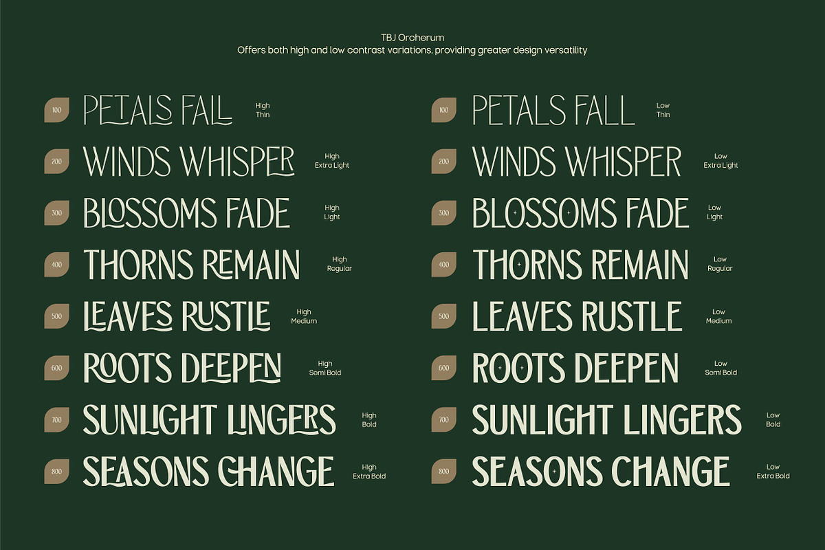 TBJ Orcherum Unique Ligatures Sans, a Font by Taboja Studio (Photo 3 of 21)
