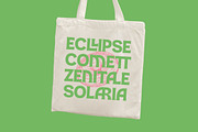 Damoga Modern Display Serif Font, a Serif Font by timelesstype.co (Thumbnail 6 of 15)