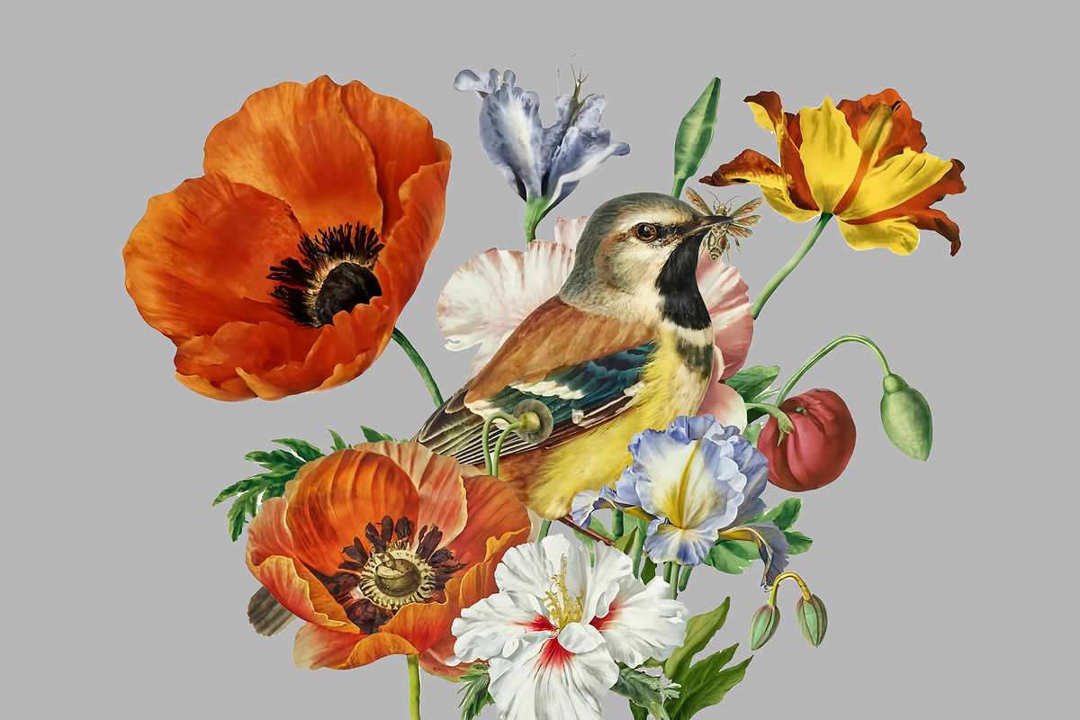 Vintage Collage Creator 99+ Elements, an Illustration by DigitalDesignAI (Photo 11 of 28)