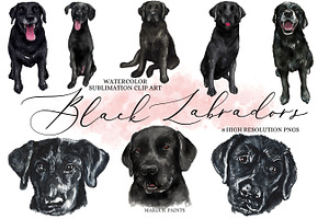 Black Labrador Retriever Clipart