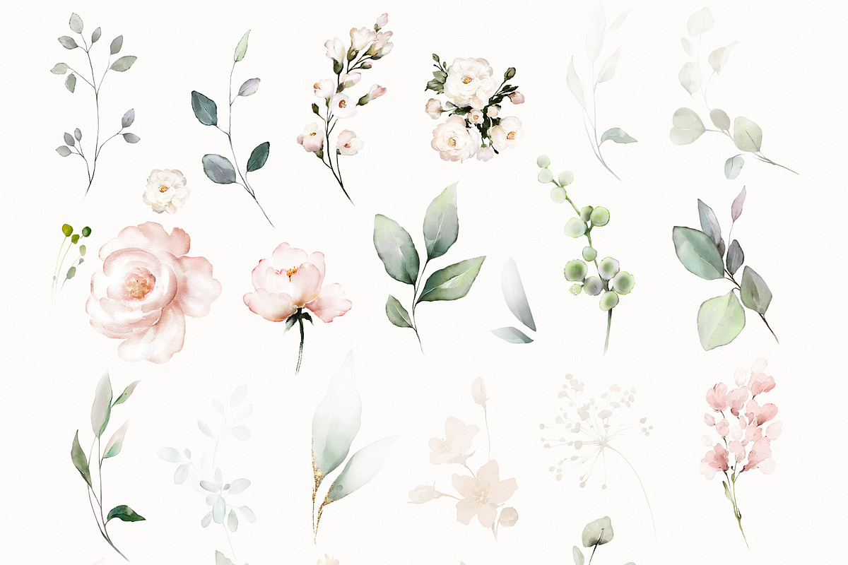 Pink watercolor flowers & herbs, an Illustration by Lisima (Photo 8 of 11)