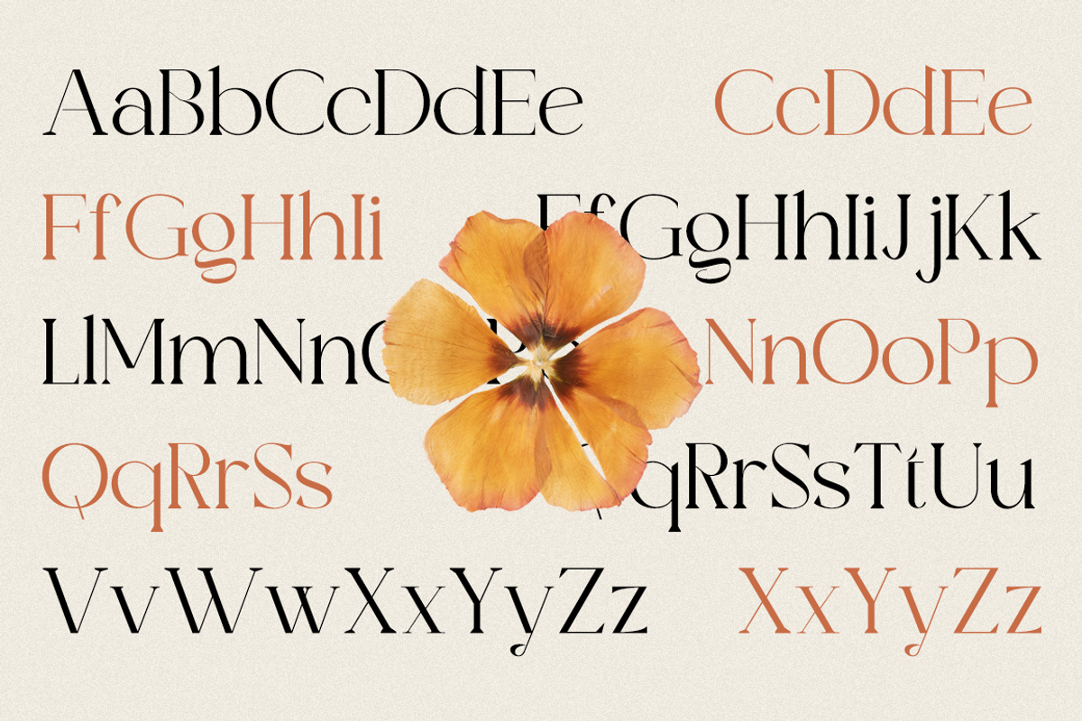 Valooron - Business Font, a Serif Font by RockboyStd (Photo 8 of 12)