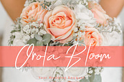 Chelsea Queen || Elegant Signature, a Script Font by D&K Project (Thumbnail 8 of 18)