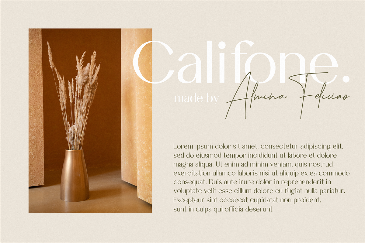 Chovilane Signature Austine Duo Font, a Sans Serif Font by Essentials Studio (Photo 2 of 10)