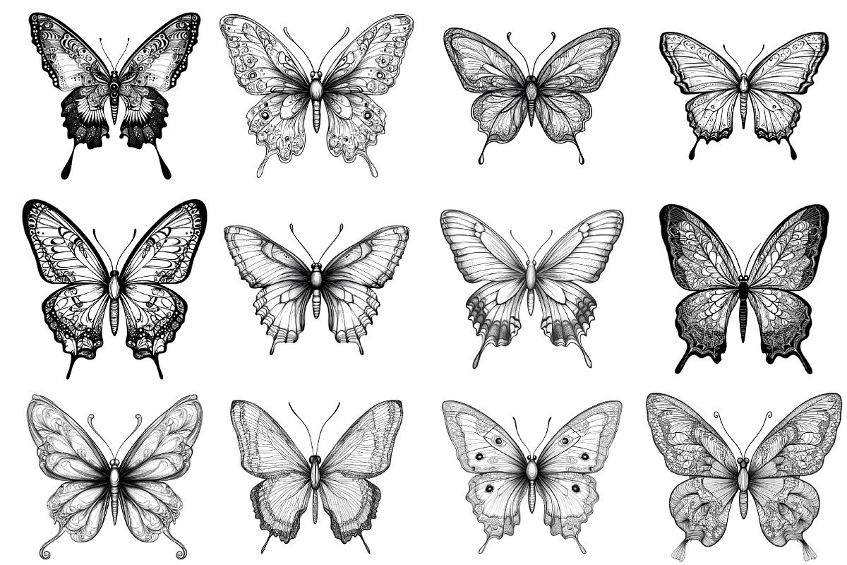 Butterflies Clipart PNG, an Illustration by SinaCreation (Photo 2 of 5)