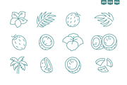Tropical Doodles, Vector Set, a Decorative Illustration by Ilia Design (Thumbnail 5 of 11)