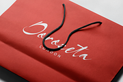 Burgiento | Modern Signature Script, a Script Font by gracetype_studio (Thumbnail 7 of 12)