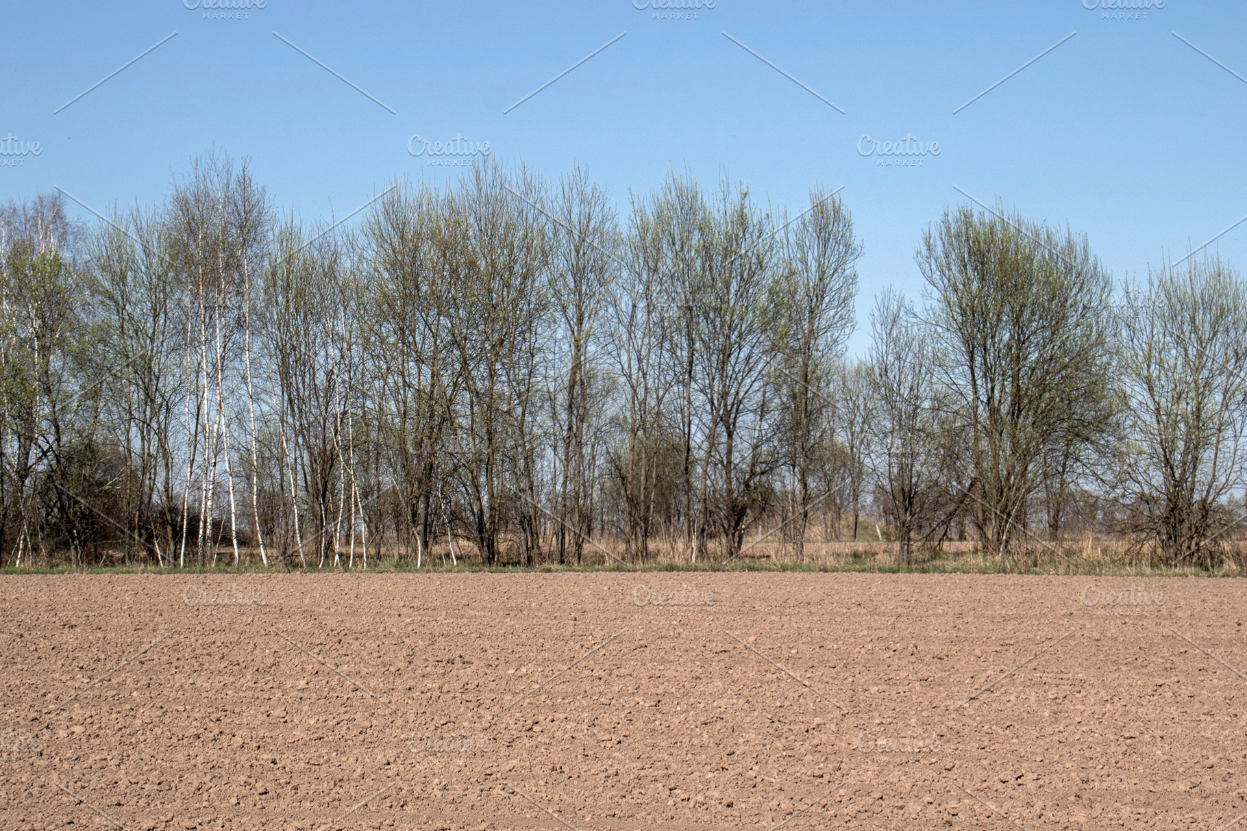 Plowing the land in spring., a Nature Photo by Schreibikus