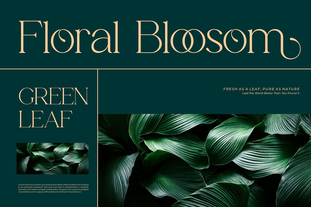 Ezirack || Modern Classy Serif Font, a Serif Font by Ermedia Studio (Photo 4 of 10)