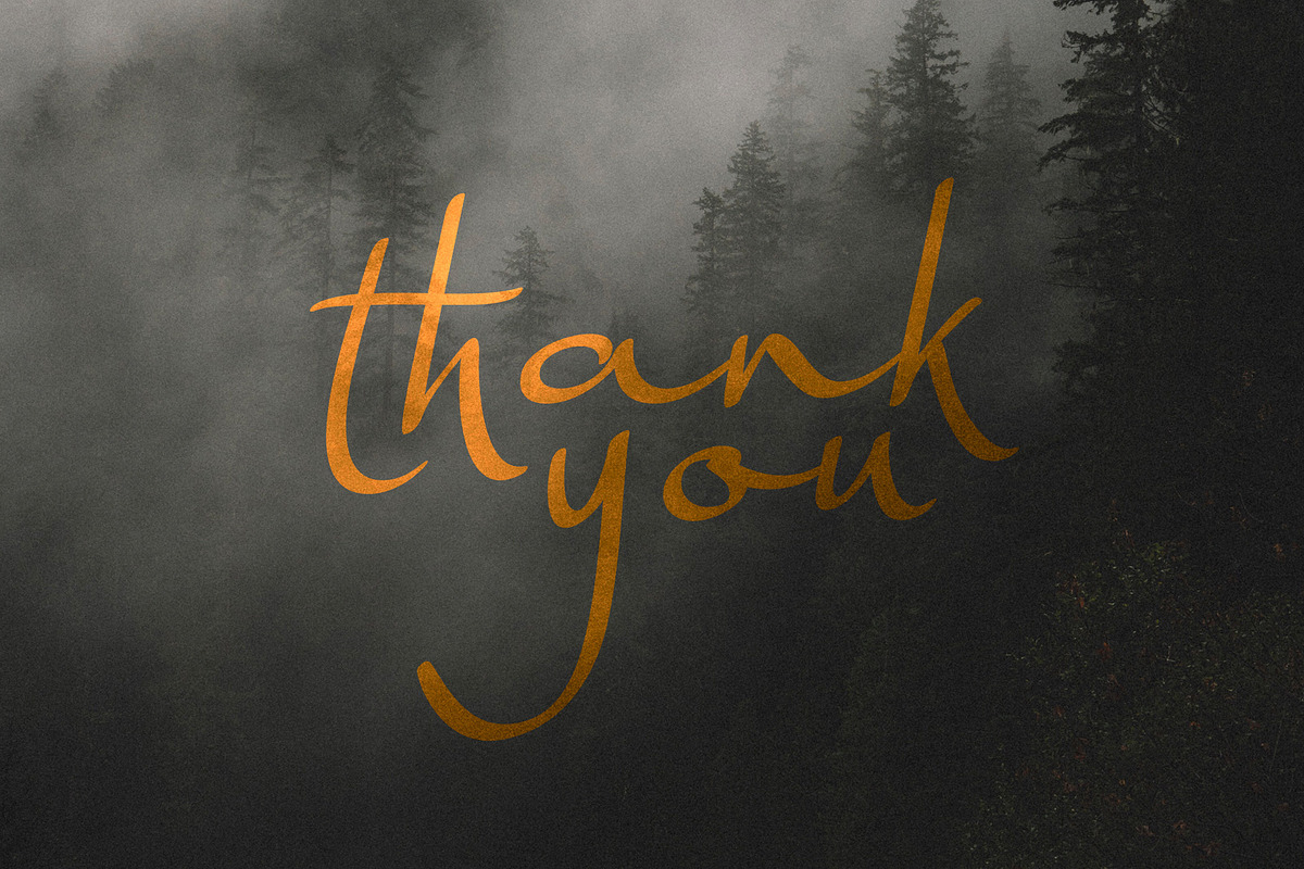 Harmona, a Script Font by Locomotype (Photo 10 of 10)