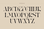 Reaga Vintage - Branding Logo Font, a Serif Font by Nirmana Visual (Thumbnail 3 of 10)