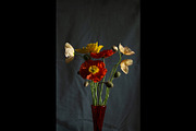 Poppies in Red Glass Vase, a Photo by This For There (Thumbnail 10 of 11)