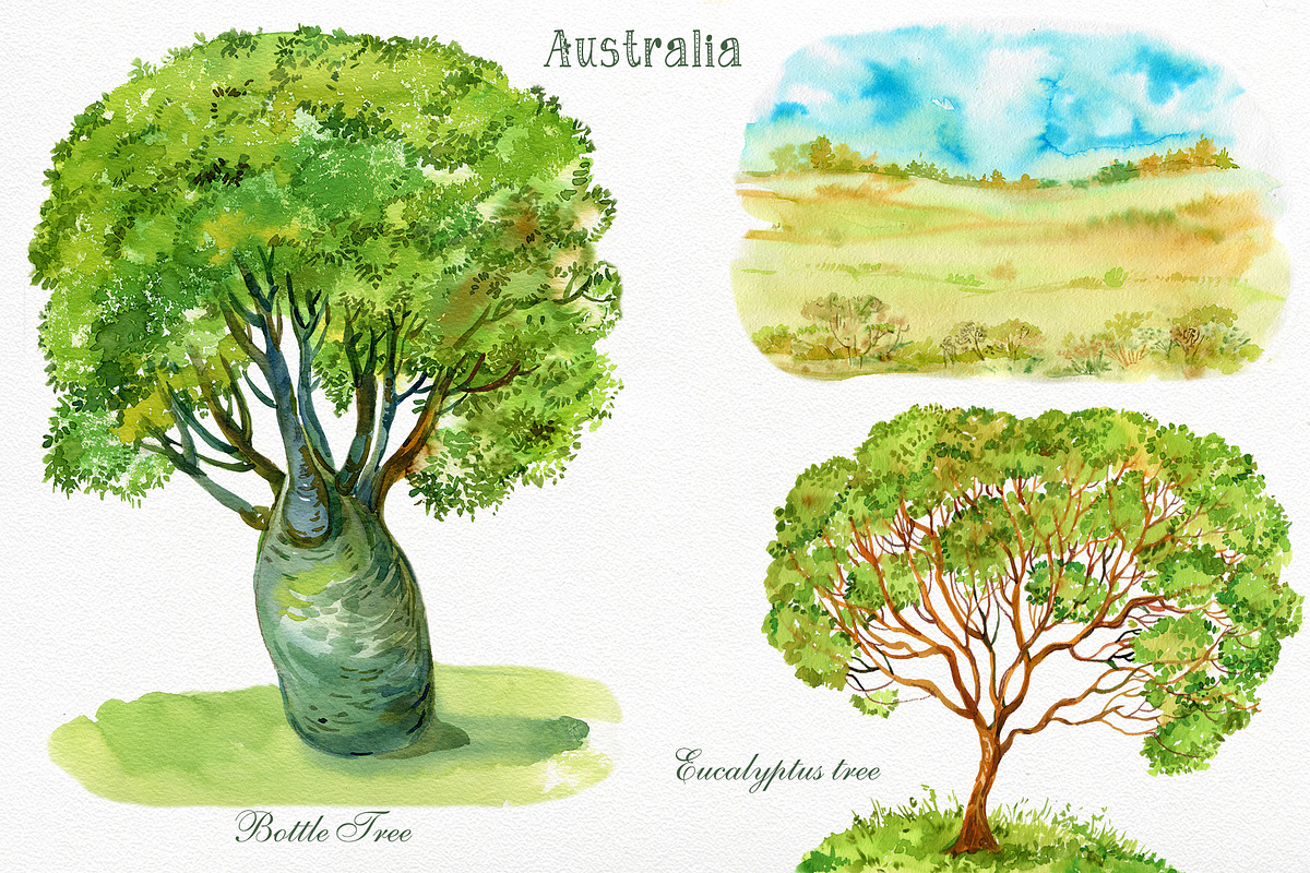 Animals Australia Watercolor, an Animal Illustration by MitrushovaArt (Photo 5 of 10)