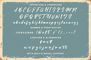 Bestallie - Bold Script Font, a Script Font by StringLabs (Thumbnail 13 of 14)