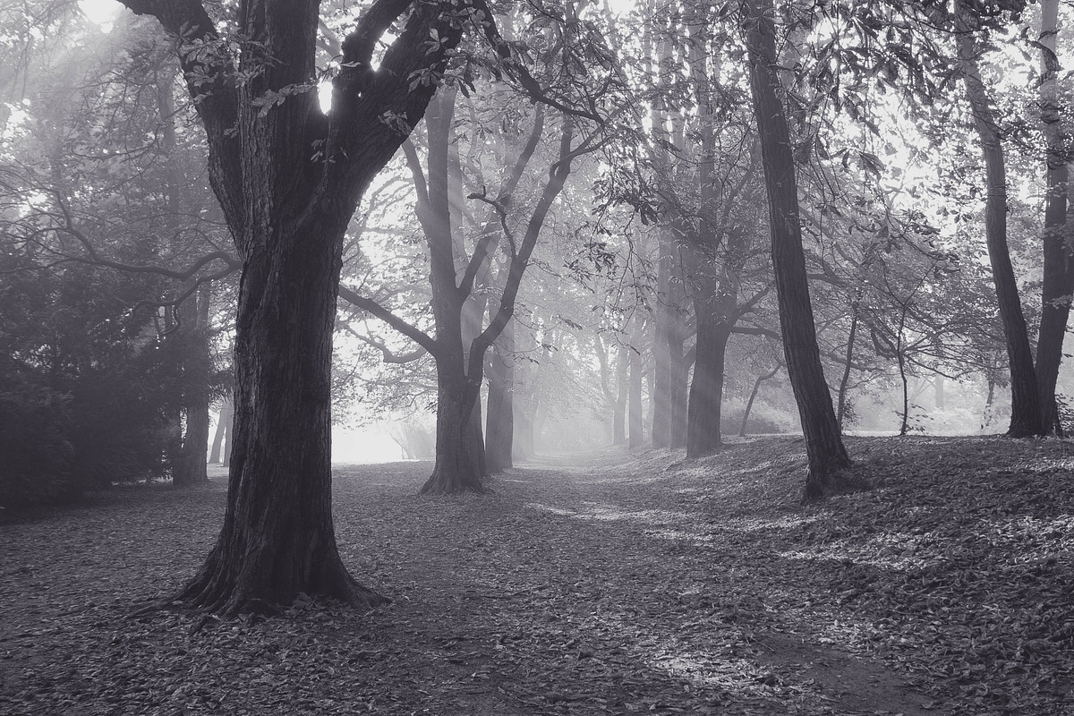 10 Matte B & W Landscape Drama, a Preset Add-On by Timeless Presets (Photo 16 of 17)