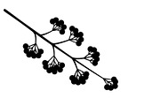 Floral Ornament Silhouette Bundle, an Illustration by BIPLOB EXPERT (Thumbnail 24 of 51)