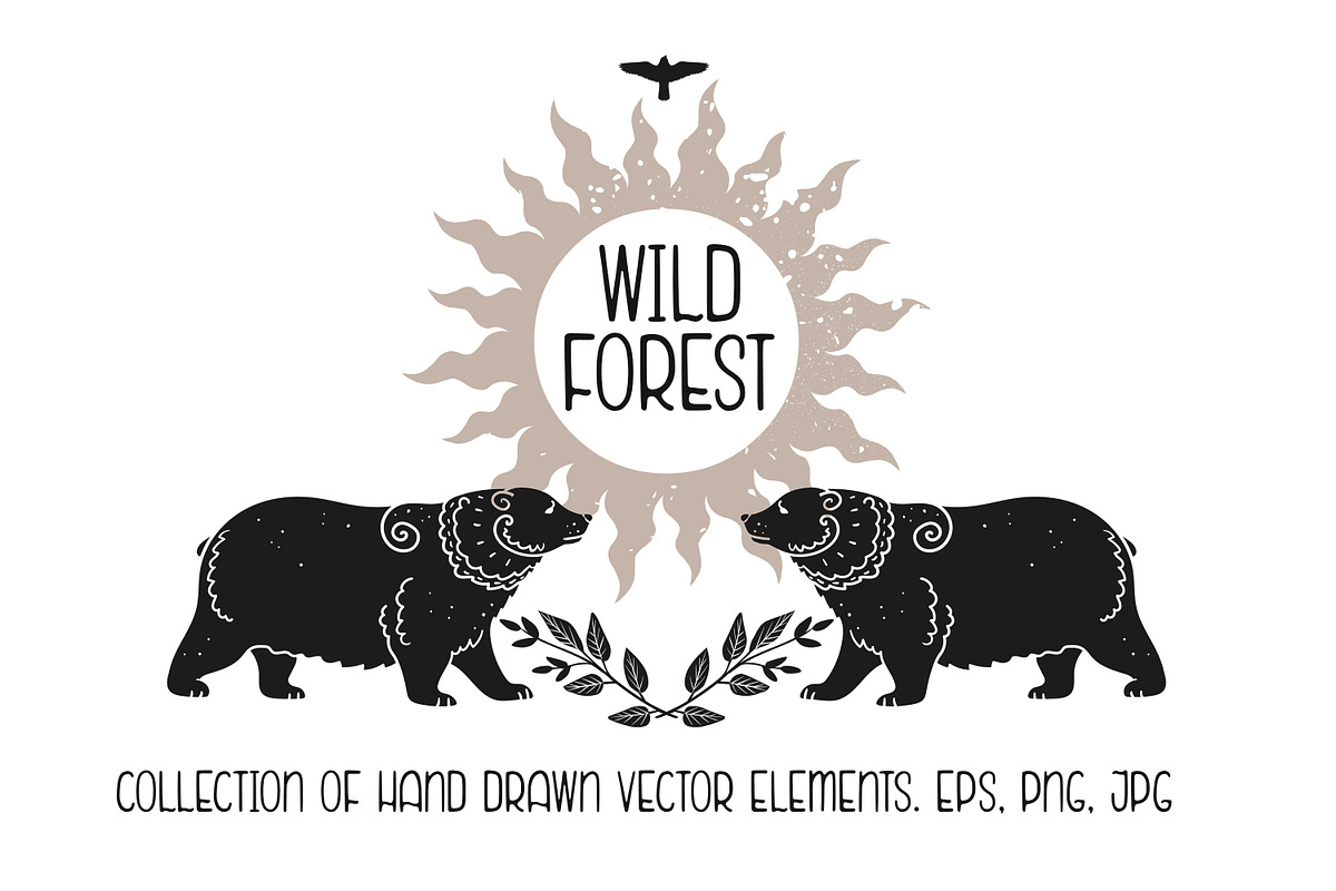 Wild forest. Vector collection, an Animal Illustration by Nadia Murash (Photo 1 of 7)