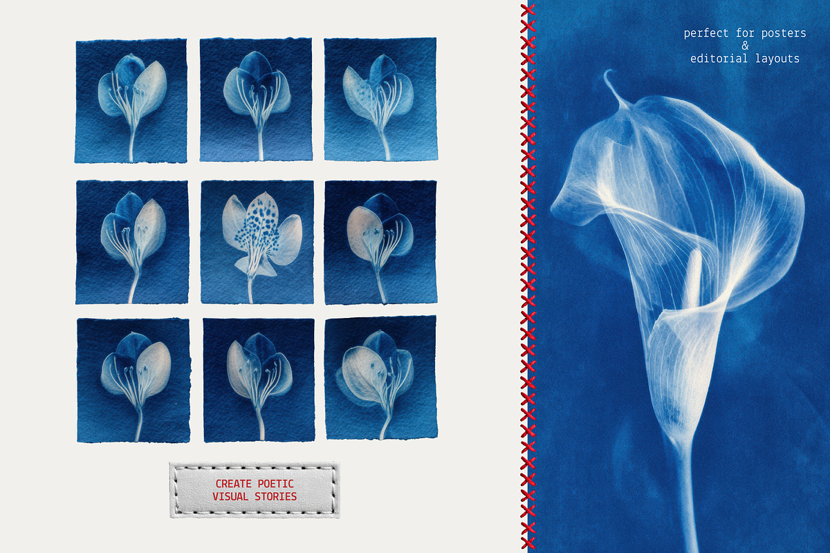 Red Embroidery&Cyanotype Collection, an Object Graphic by Hello Muse (Photo 3 of 13)