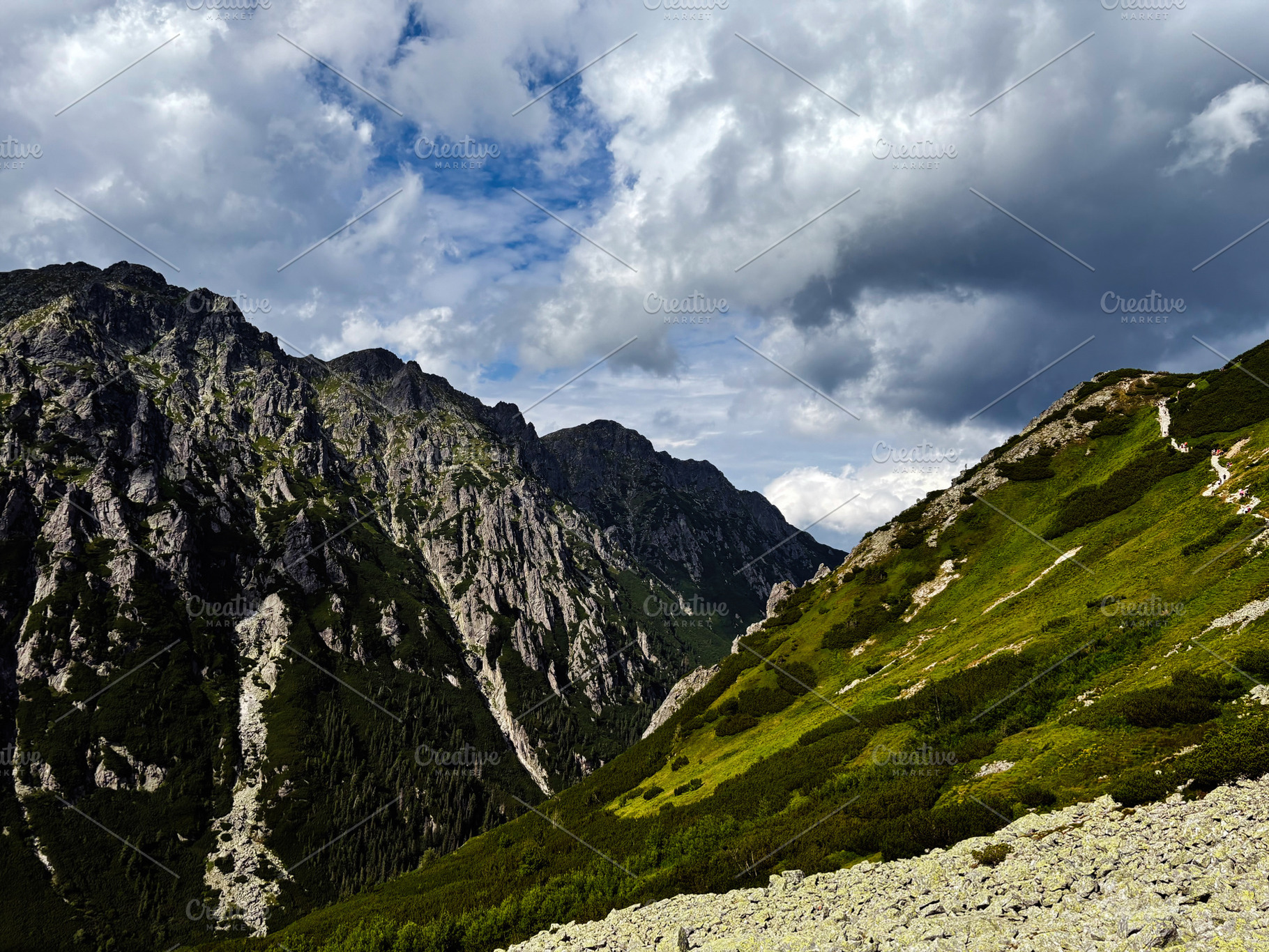 Dramatic mountain valley near Zakopane Poland with rocky cliffs and green slope, a Nature Photo by AS photostudio