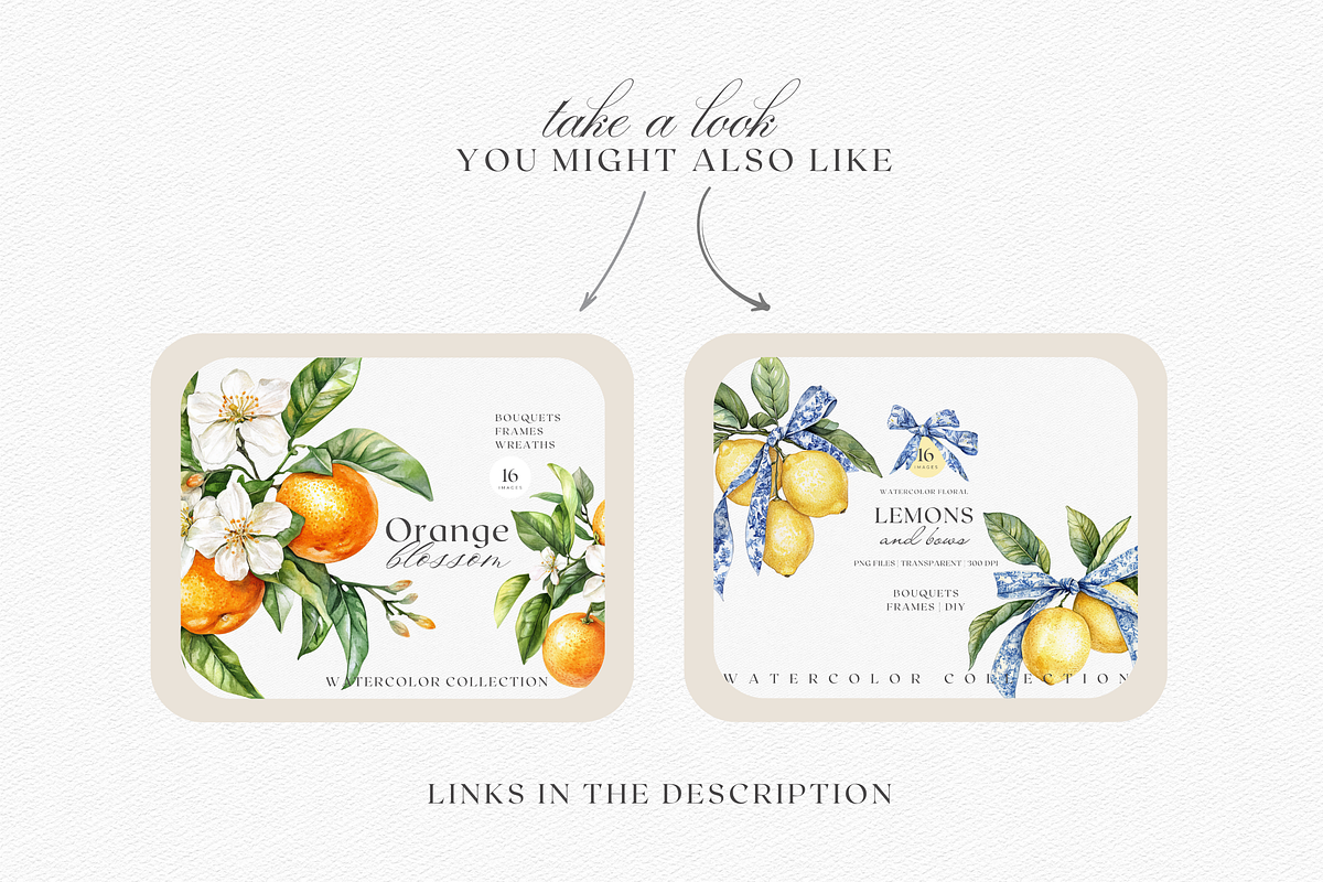 Watercolor Oranges and Bows, a Decorative Illustration by ThaismotaCreativeCo (Photo 9 of 10)