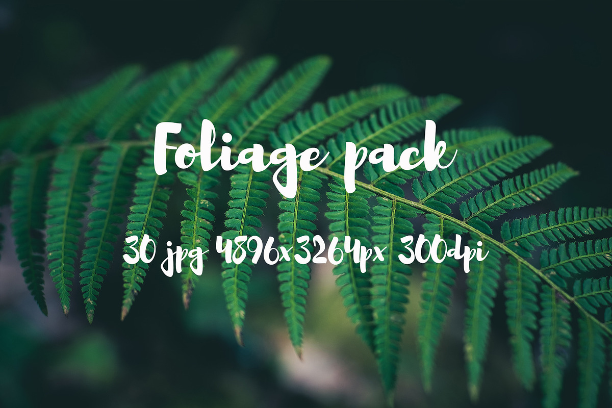 Foliage pack, a Templates & Theme by ApertureVintage (Photo 14 of 21)