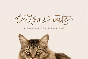 Cattoms Cute Monoline Script Fonts