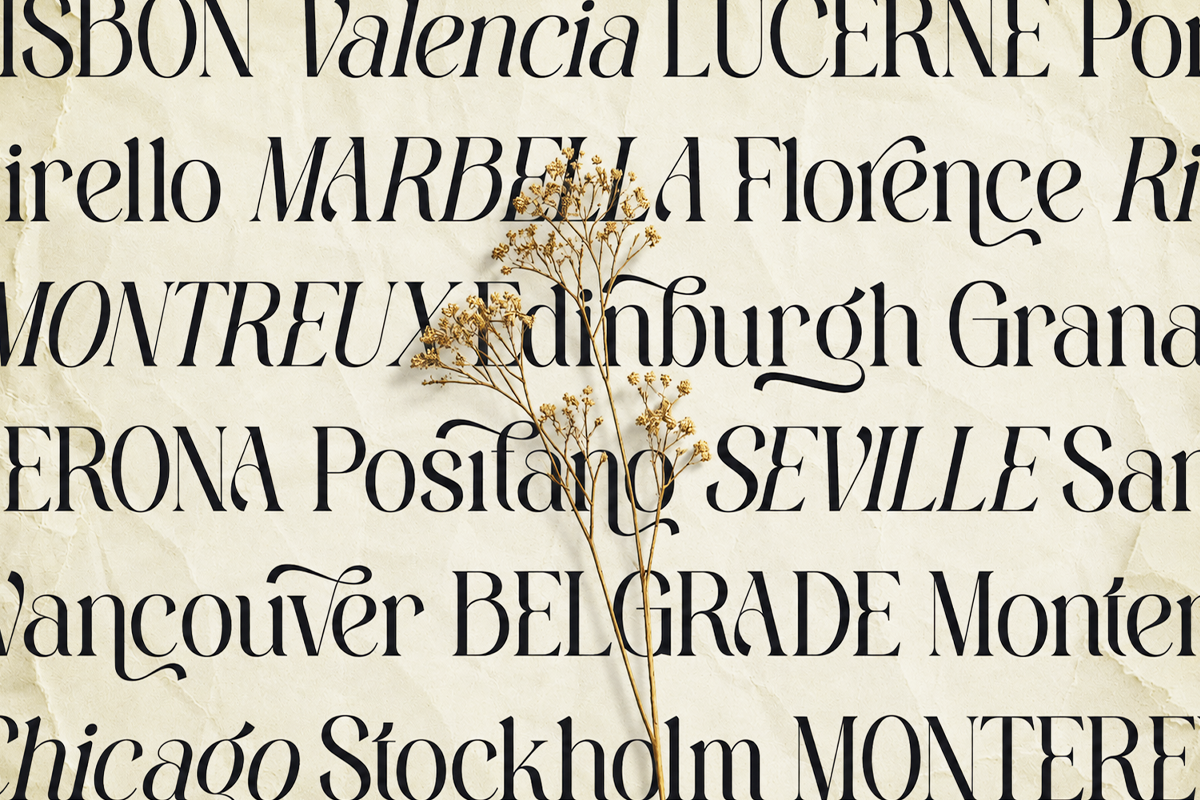 Sefina Brandish - Beauty Luxury Font, a Serif Font by Font Liner (Photo 6 of 10)