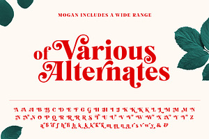 Mogan Serif Font Extras