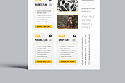 Photography Pricing Guide Flyer, a Flyer Template by MightyDesign (Thumbnail 3 of 8)