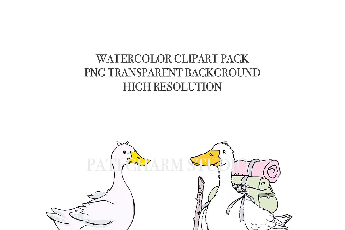 21 Silly Goose Clipart PNG, an Animal Illustration by Pati Charm Studio (Photo 5 of 8)