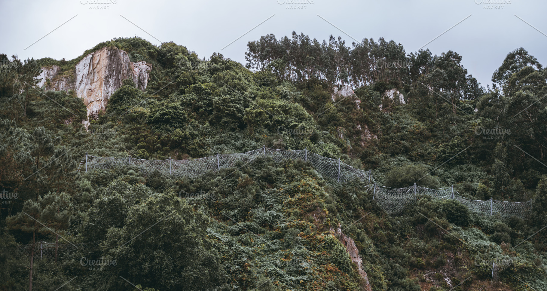Rockfall net on green hillside, a Nature Photo by SkyNext
