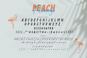 Peach Flamingo Font Duo, a Font by BodigStd (Thumbnail 7 of 8)