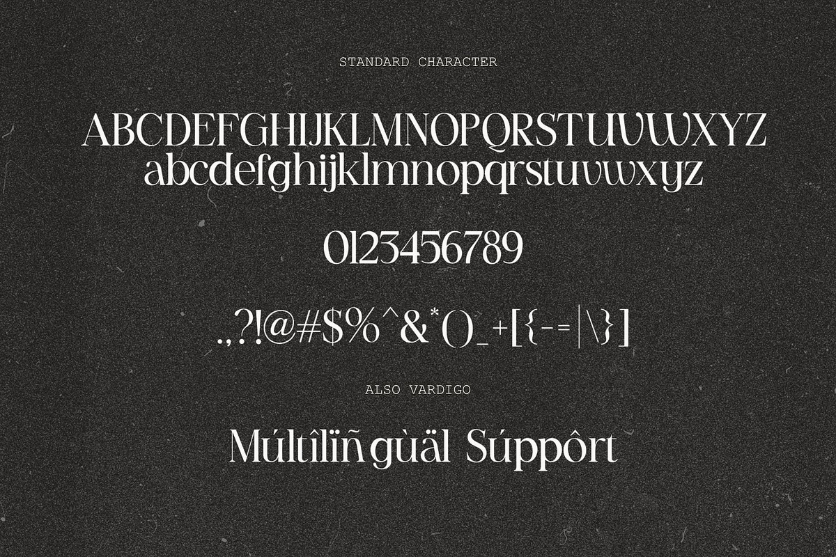 Vardigo - Minimalist Serif Typeface, a Serif Font by Elmous (Photo 10 of 10)