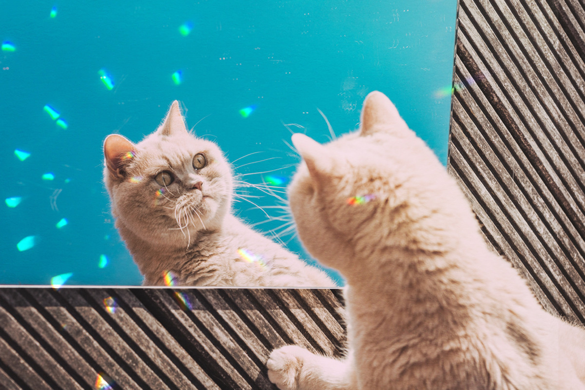 Crystal Prism Light / 30 Overlays, a Layer Style Add-On by Julie&Taily (Photo 13 of 13)