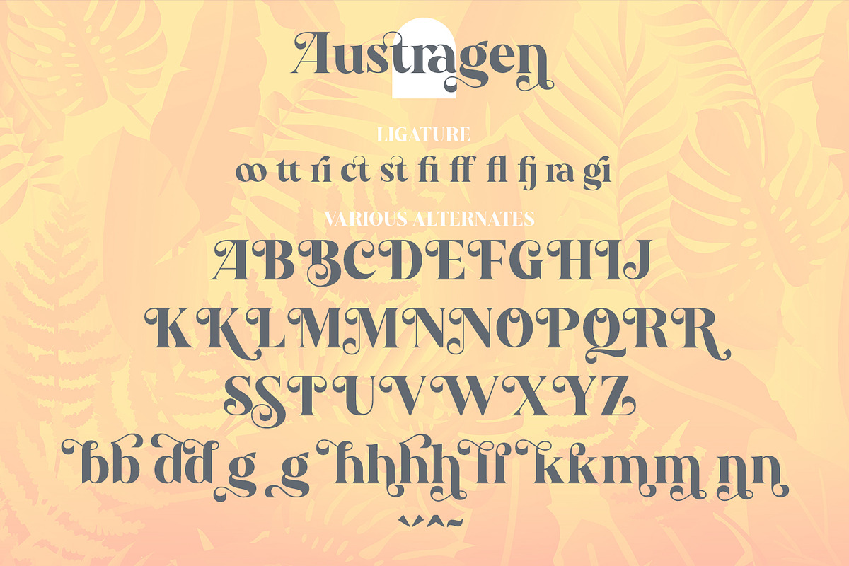 Austragen - Beautiful Bold Serif, a Serif Font by Almarkhatype (Photo 9 of 10)