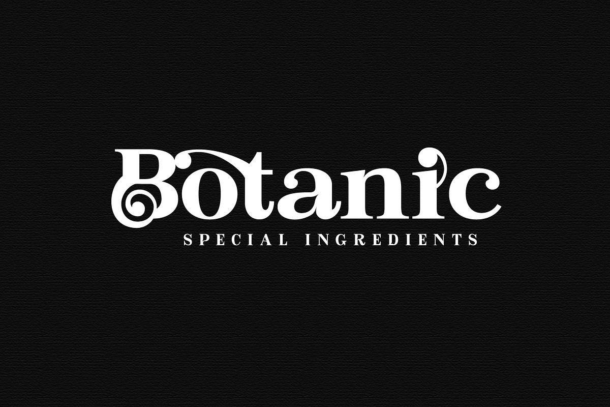 Bastine - Modern Classy Serif Font, a Serif Font by Afkari Studio (Photo 7 of 16)